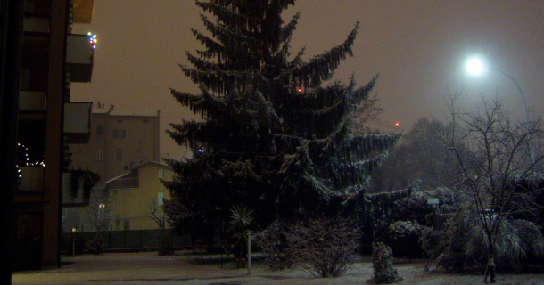 Snowy night in Bologna